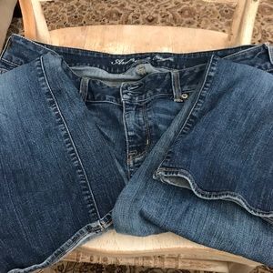 American Eagle cropped stretch jeans ~The Artist